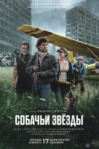  Собачьи звёзды 